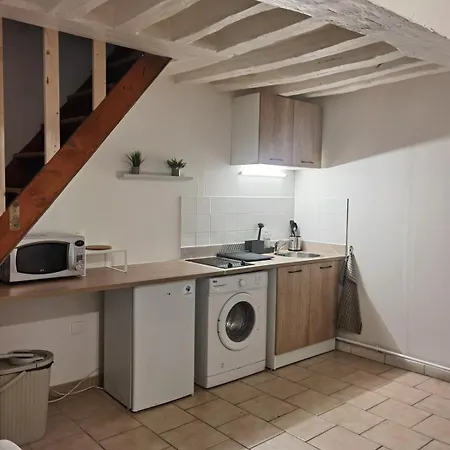 Duplex Proche Jardins Des Plantes 公寓 鲁昂
