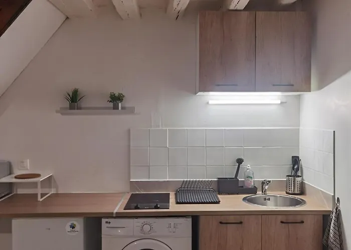 Duplex Proche Jardins Des Plantes * Rouen